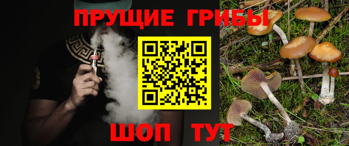 Галлюциногенные грибы Magic Shrooms  Вход с VPN  Псилоцибиновые грибы мицелий  Александров 
